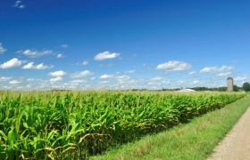 海南<a href='https://www.sdsygh.com/'>有机肥料</a>科普：提高农业效益，保护环境