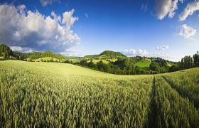 浙江<a href='https://www.sdsygh.com/'>肥料生产厂家</a>世源光合品牌：致力于绿色农业的发展