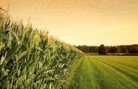 江西<a href='https://www.sdsygh.com/'>肥料生产厂家</a>科普：关于肥料生产的一些常识