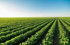 贵州<a href='https://www.sdsygh.com/'>肥料生产厂家</a>盘点：为你提供优质肥料产品
