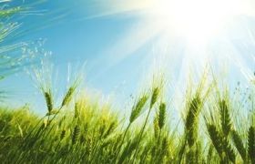 加强天津<a href='https://www.sdsygh.com/'>肥料生产厂家</a>效果 助力农业可持续发展
