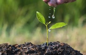 河南<a href='https://www.sdsygh.com/'>肥料生产厂家</a>知识大全:探讨市场现状与发展趋势