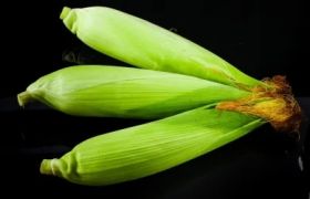 湖南<a href='https://www.sdsygh.com/'>肥料生产厂家</a>科普：关于肥料生产的一些常识介绍