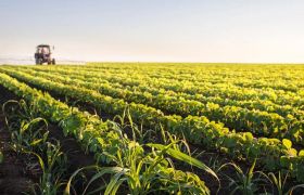 江西用世源光合肥料解决作物低产