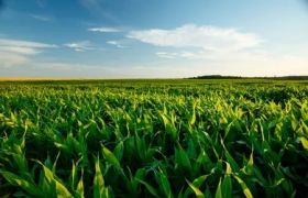 转色催红肥：提升重庆农业科技水平的新利器