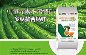 广东养根生根肥科普：助力作物生长，提高产量