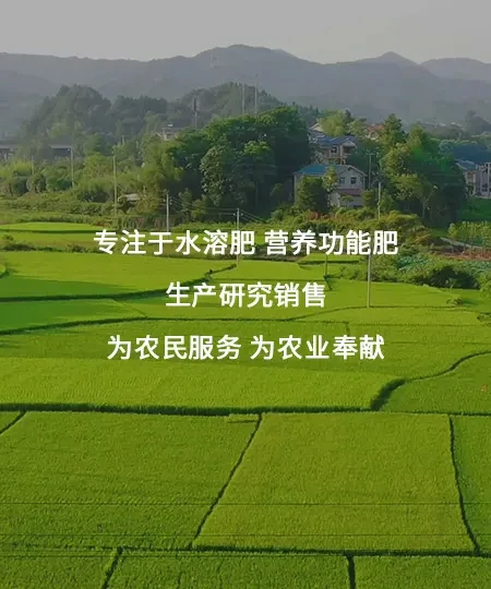 有机水溶肥料