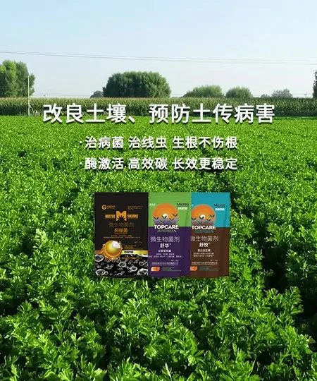 微生物菌剂