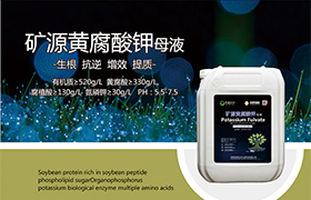 黑龙江<a href='https://www.sdsygh.com/'>聚谷氨酸养根生根肥</a>是什么？