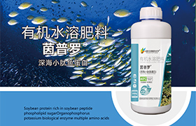 贵州<a href='https://www.sdsygh.com/'>鱼蛋白肥</a>世源光合品牌致力于为农业生产提供高品质的肥料和种植技术。作为我国养殖业的重要支持，贵州<a href='https://www.sdsygh.com/'>鱼蛋白肥</a>世源光合品牌凭借其高品质的产品和完善的售后服务，赢得了广泛的市场认可。本文将围绕贵州<a href='https://www.sdsygh.com/'>鱼蛋白肥</a>世源光合品牌展开探讨，内容涵盖其产品特点、市场优势以及发展前景等。