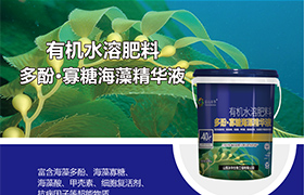 <a href='https://www.sdsygh.com/'>叶面肥</a>百科：为您解答关于<a href='https://www.sdsygh.com/'>叶面肥</a>的一切问题