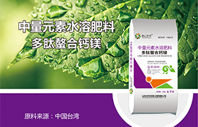 广东<a href='https://www.sdsygh.com/'>冲施肥</a>作用及对作物生长的影响