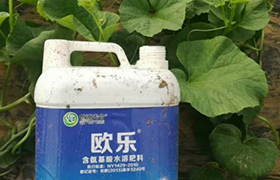 绵阳<a href='https://www.sdsygh.com/'>冲施肥</a>效果分析