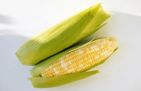 铜陵<a href='https://www.sdsygh.com/'>冲施肥</a>分类及特点分析