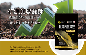 遵义<a href='https://www.sdsygh.com/'>冲施肥</a>技术指导大全