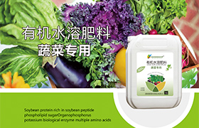 湘西神奇土壤的秘密：揭秘湘西<a href='https://www.sdsygh.com/'>冲施肥</a>的奇妙效果