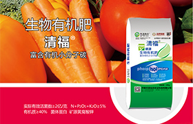 <a href='https://www.sdsygh.com/'>鱼蛋白肥</a>世源光合品牌：为植物生长提供全方位解决方案