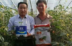 黑龙江<a href='https://www.sdsygh.com/'>大豆蛋白肥</a>区别及对作物生长的影响
