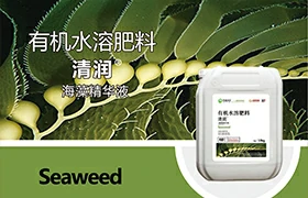 清润海藻精华液有机水溶肥料