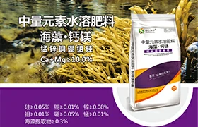 中量元素水溶肥料海藻·钙镁