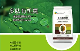 多肽有机氮